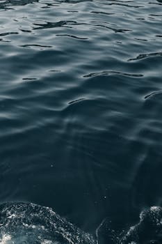 深度解读：波兰经济复苏吸引劳动力回流