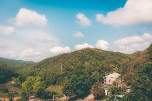 国盾量子2025年业绩快报：净赚近540万元终结连续亏损，量子计算营收增长成业绩反转关键