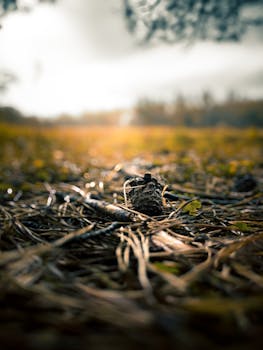 景气度持续上行 半导体市场多个细分领域迎涨价