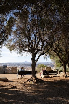 海外华侨华人共话政府工作报告：凝聚力量，共迎高质量发展新篇章。