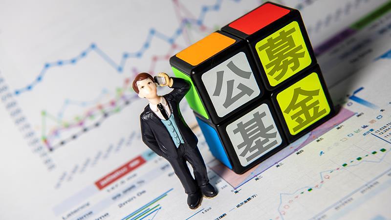  和平与冲突的边缘挣扎，如何在风暴中心重塑信任契约 情感心理