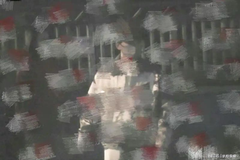  从视觉反差到舆论爆点：明星身高差背后的传播力学解析 娱乐新闻