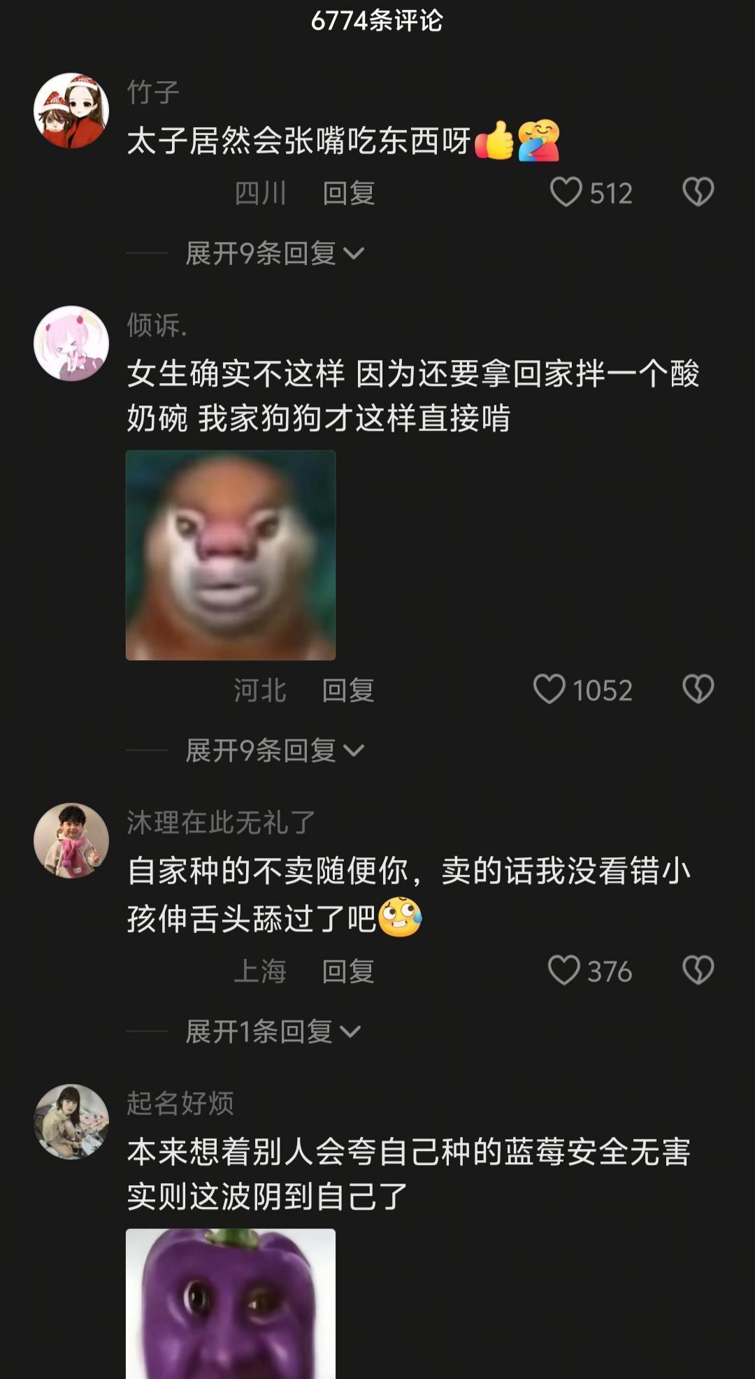  亲子教育中的认知盲区：从“树上摘蓝莓”看家长判断力的系统性偏差 教育招生