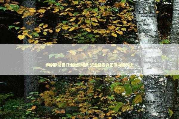 科创债能否打通融资堵点 资金能否真正流向硬科技