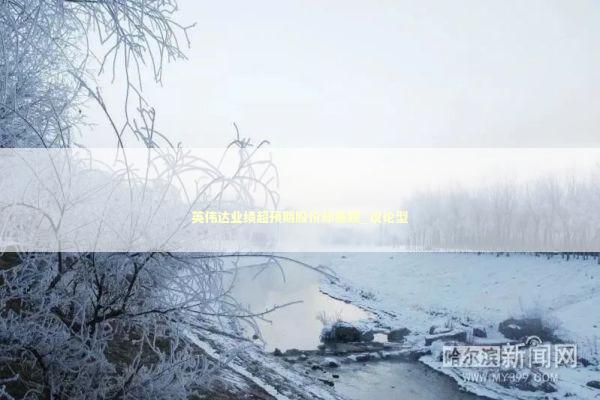 英伟达业绩超预期股价却暴跌_议论型