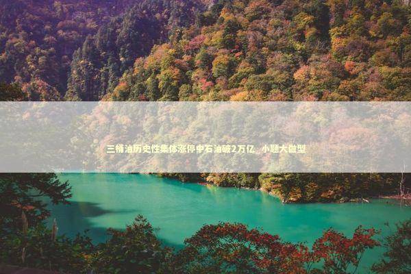 三桶油历史性集体涨停中石油破2万亿_小题大做型