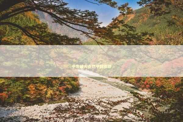 中东战火点燃甲醇涨停