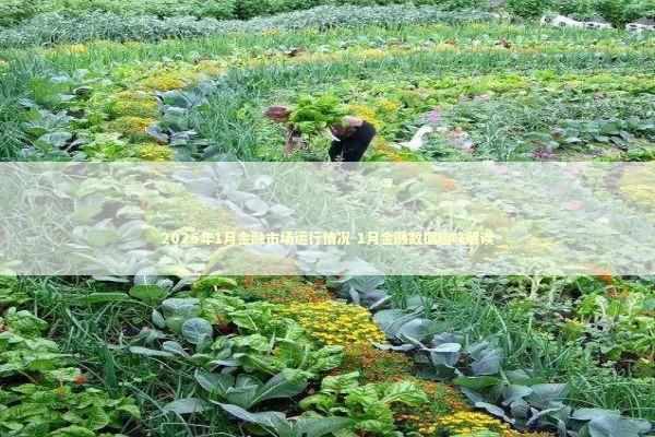 2026年1月金融市场运行情况-1月金融数据趣味解读