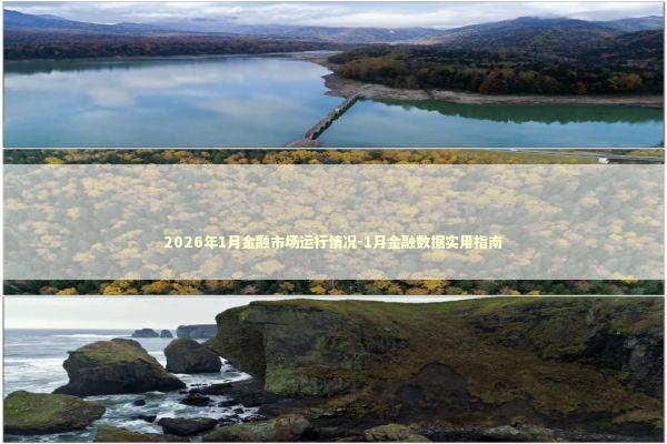 2026年1月金融市场运行情况-1月金融数据实用指南