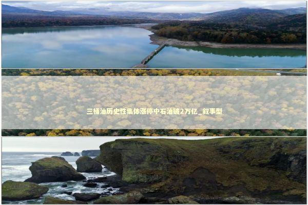 三桶油历史性集体涨停中石油破2万亿_叙事型