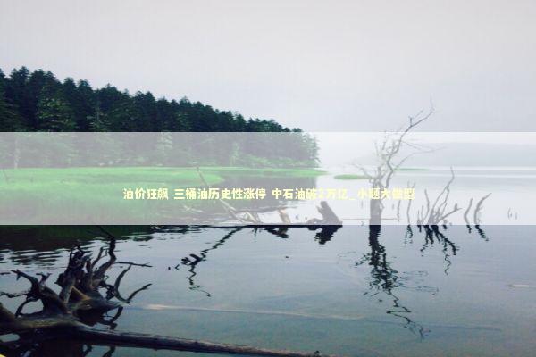 油价狂飙 三桶油历史性涨停 中石油破2万亿_小题大做型