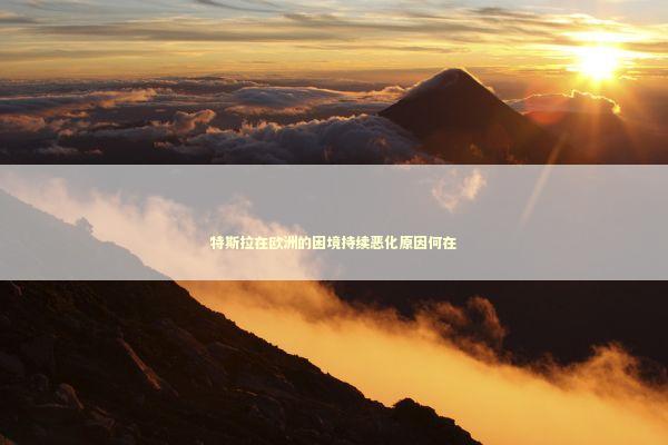 特斯拉在欧洲的困境持续恶化原因何在 新闻