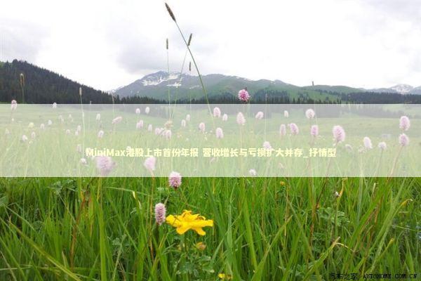 MiniMax港股上市首份年报 营收增长与亏损扩大并存_抒情型