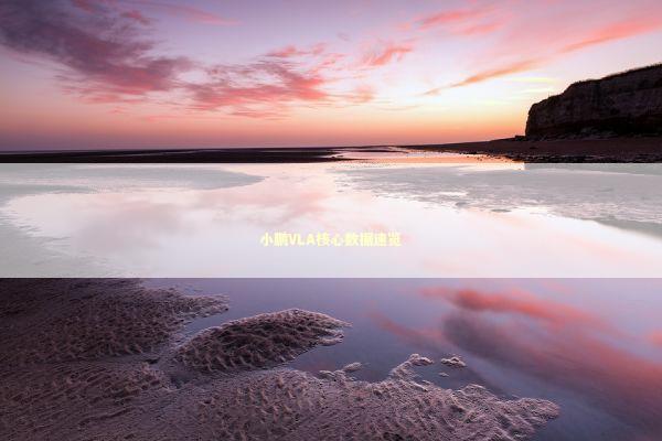 小鹏VLA核心数据速览