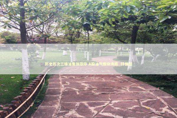 历史首次三桶油集体涨停 A股油气板块沸腾_抒情型 新闻