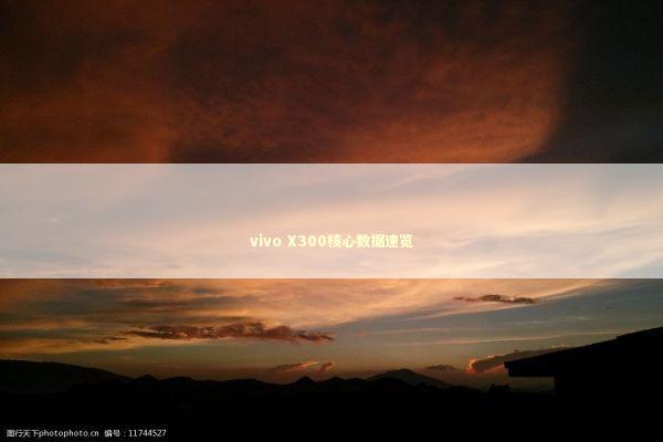 vivo X300核心数据速览