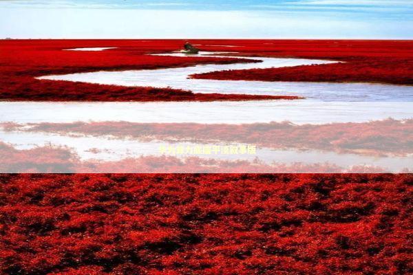 华为算力底座平淡叙事版