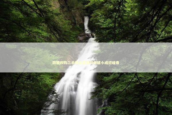 政策收购二手房全面铺开老破小或迎暖春