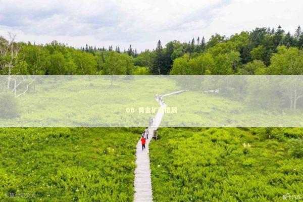 06-黄金矿商格局