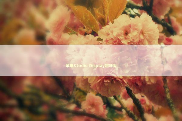 苹果Studio Display趣味版