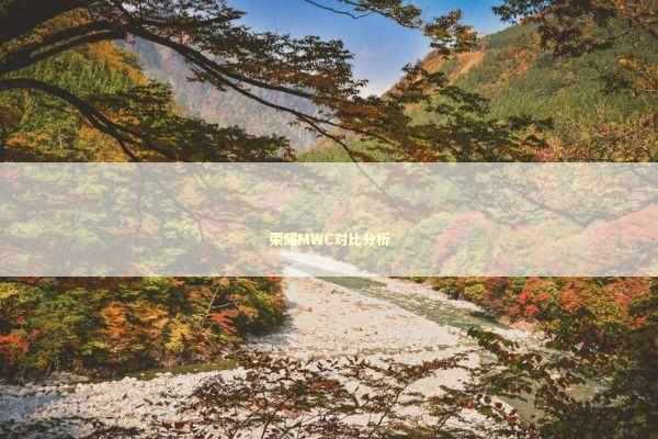 荣耀MWC对比分析