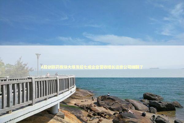 A股创新药板块大爆发超七成企业营收增长这些公司赚翻了