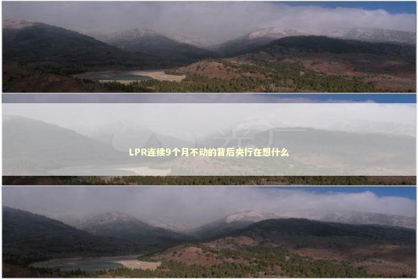 LPR连续9个月不动的背后央行在想什么