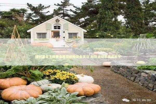 博时基金王祥黄金再获避险资金关注 短期波动率居高不下