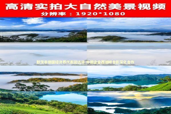 默茨率德国经济界代表团访华 中德企业西湖畔合影深化合作