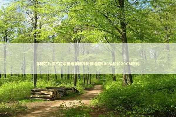 存储芯片供不应求佰维存储净利预增超900%股价20CM涨停