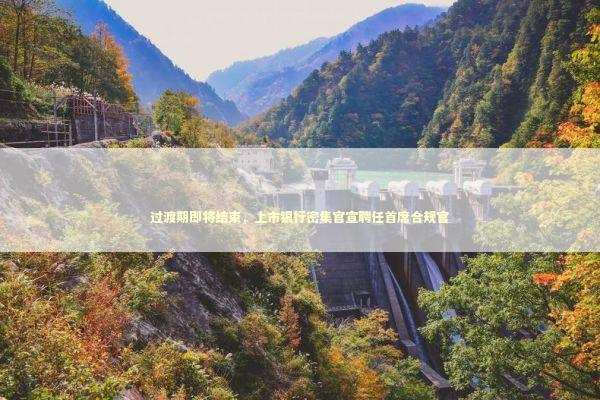 过渡期即将结束，上市银行密集官宣聘任首席合规官