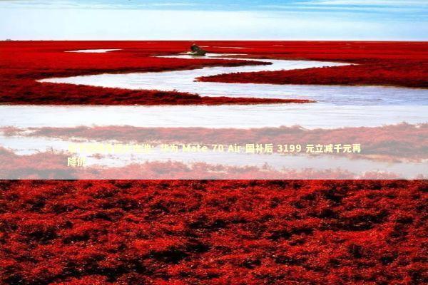 双卡双扬多摄大电池：华为 Mate 70 Air 国补后 3199 元立减千元再降价