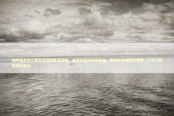 德邦基金百亿基金违规销售案落锤，遭重罚暂停发新基金，董事长左畅疑似背锅，八年任期后悄然离任