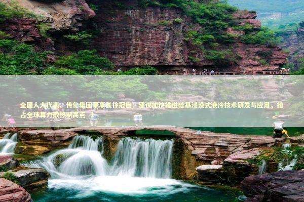 全国人大代表、传化集团董事长徐冠巨：建议加快推进硅基浸没式液冷技术研发与应用，抢占全球算力散热制高点_1