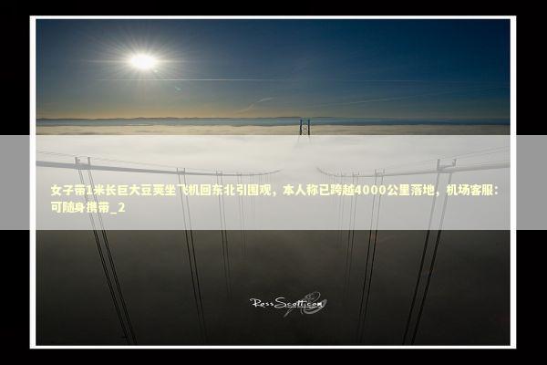 女子带1米长巨大豆荚坐飞机回东北引围观，本人称已跨越4000公里落地，机场客服：可随身携带_2