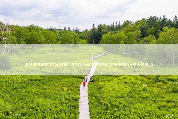 亚马逊中东数据中心遭袭：多家银行及主要金融机构服务中断正全力抢修_1