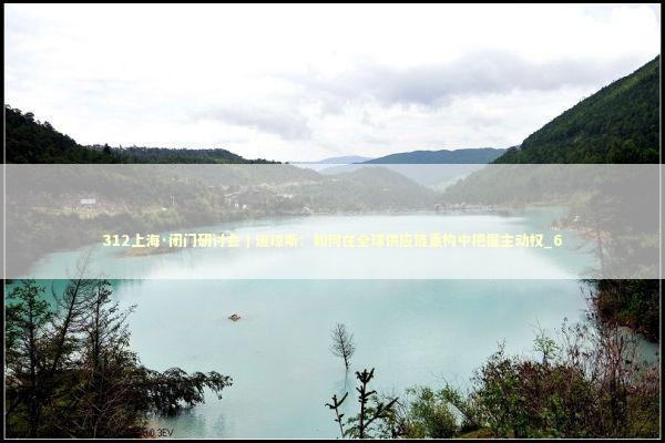 312上海·闭门研讨会｜道琼斯：如何在全球供应链重构中把握主动权_6