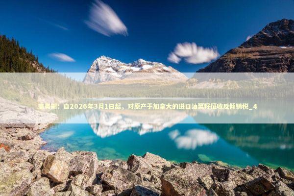 商务部：自2026年3月1日起，对原产于加拿大的进口油菜籽征收反倾销税_4