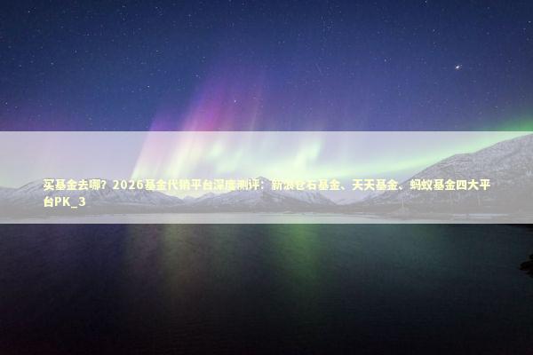 买基金去哪？2026基金代销平台深度测评：新浪仓石基金、天天基金、蚂蚁基金四大平台PK_3