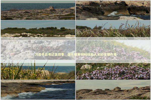 习近平总书记关切事：强化教育对科技和人才的支撑作用