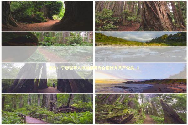 官方：宁忠岩等人拟被推荐为全国优秀共产党员_1