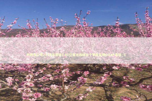 声网母公司2025年营收1.41亿美元连续五个季度实现GAAP盈利_5