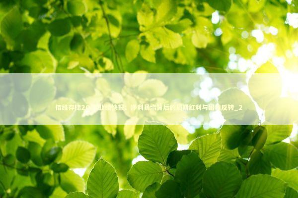 佰维存储2025业绩快报：净利暴增背后的周期红利与困境反转_2