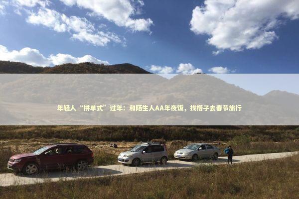 年轻人“拼单式”过年：和陌生人AA年夜饭，找搭子去春节旅行