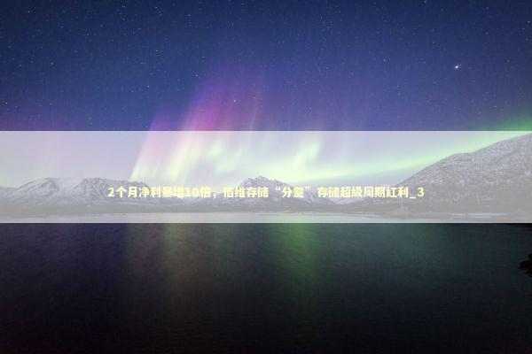 2个月净利暴增10倍，佰维存储“分羹”存储超级周期红利_3