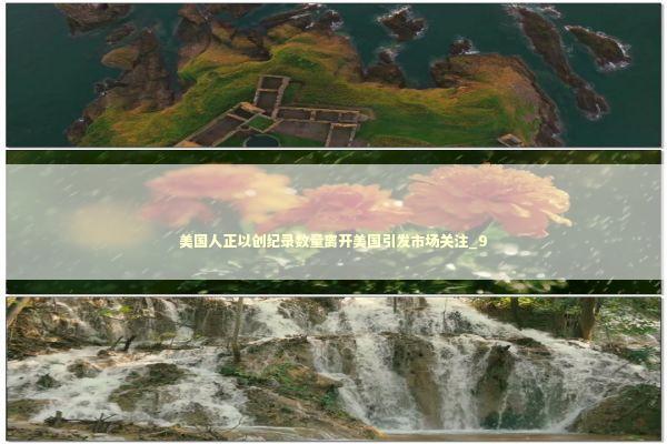 美国人正以创纪录数量离开美国引发市场关注_9