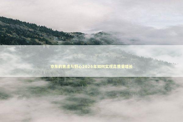 京东的焦虑与野心2026年如何实现高质量增长