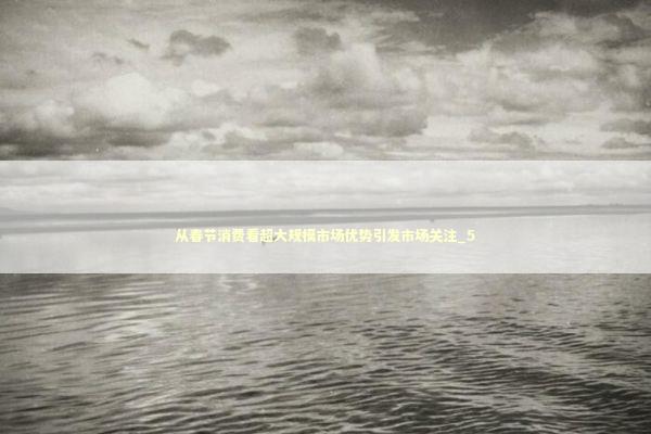 从春节消费看超大规模市场优势引发市场关注_5