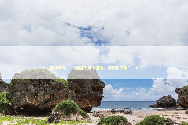 跟风跳坑，“美国不用中国的，我们也不用”_4