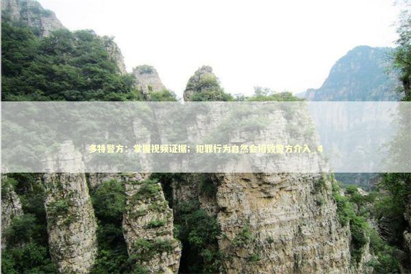 多特警方：掌握视频证据；犯罪行为自然会招致警方介入_4